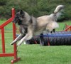 agility